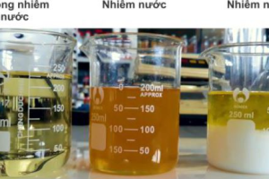 Dầu thuỷ lực bị nhiễm nước cách khắc phục như thế nào?