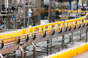 Chứng nhận Kosher, Pareve và Halal là gì?