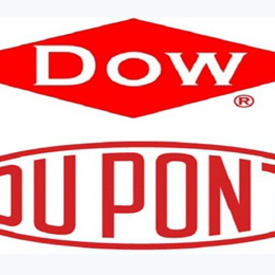 DOW-GEL. CHẤT ĐÓNG GÓI VÀ LỚP PHỦ